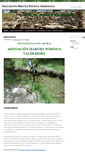 Mobile Screenshot of marchanordicavaldemoro.org